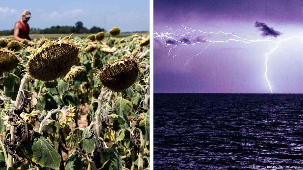 Hitze setzt Italien weiter zu: Noch immer Alarmstufe Rot in mehreren Städten