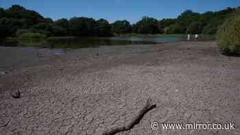 UK heatwave 2026 vs 1976 - how temperatures, droughts, and hosepipe bans compare
