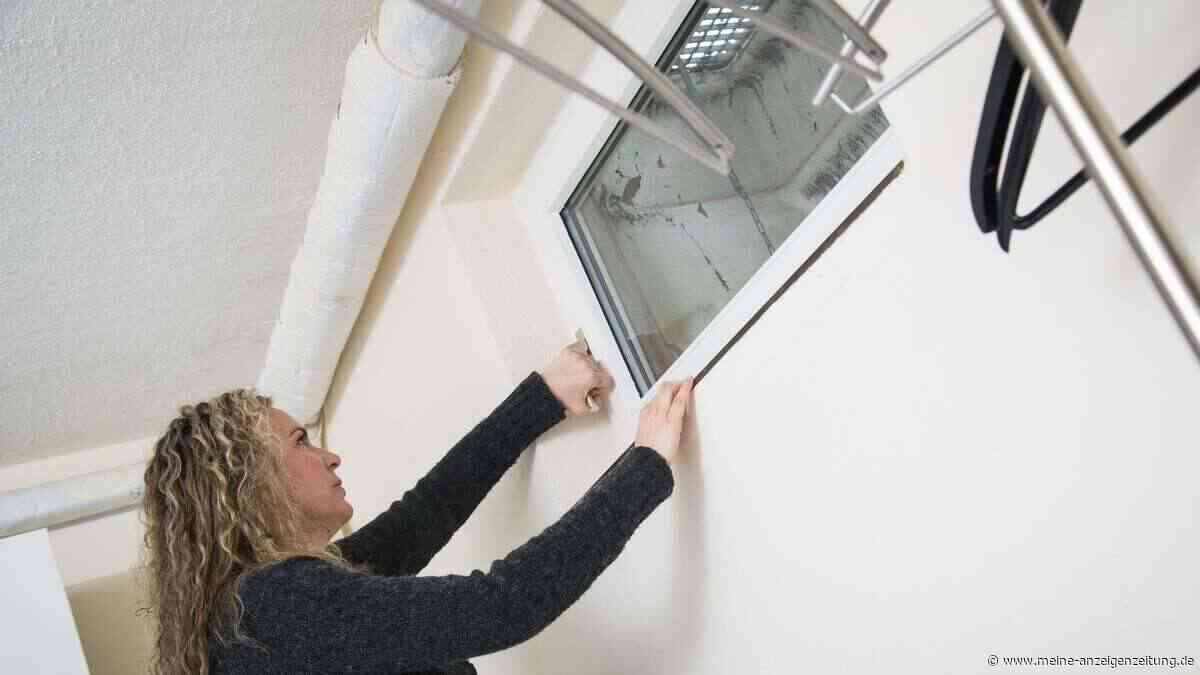 Warum Sie Ihren Keller an warmen Tagen nicht lüften sollten