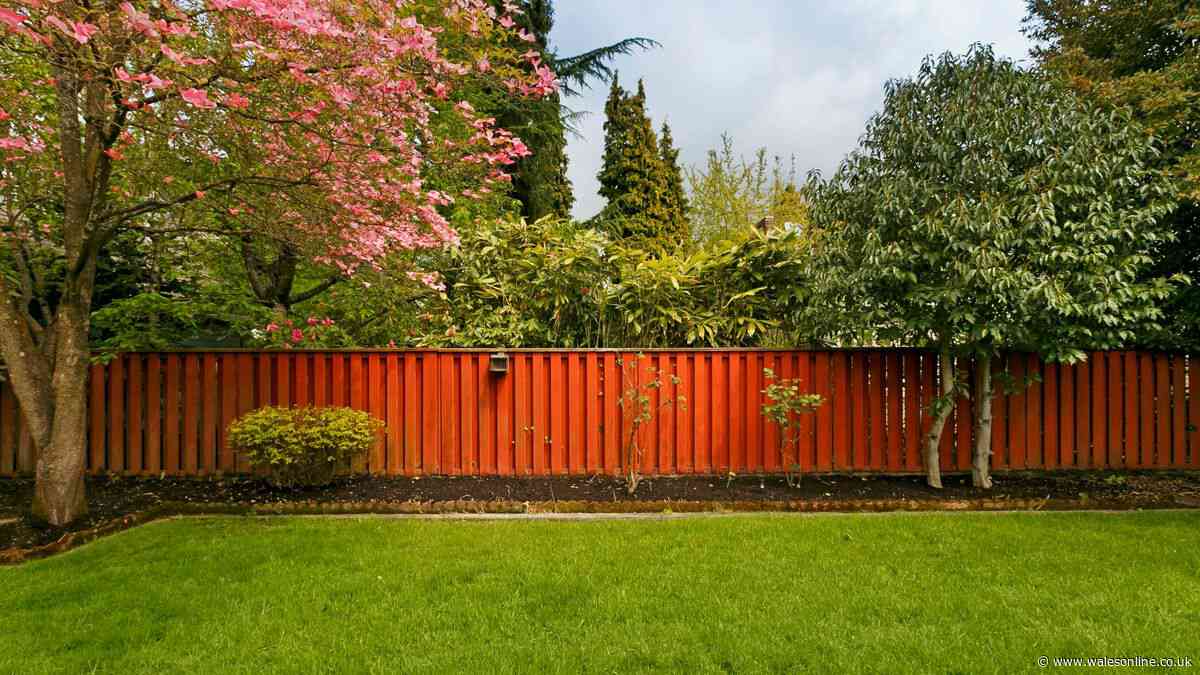 Your legal rights when fence with your neighbour needs replacing