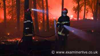 Tourists evacuated as wildfires spread in Greece, France, Croatia and Germany