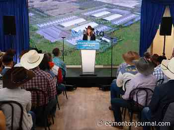 Lorne Gunter: Danielle Smith's AI plans need more detail for Albertans