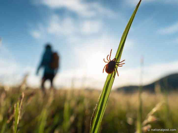 A Lyme disease vaccine may finally be on the way. Why did it take so long?
