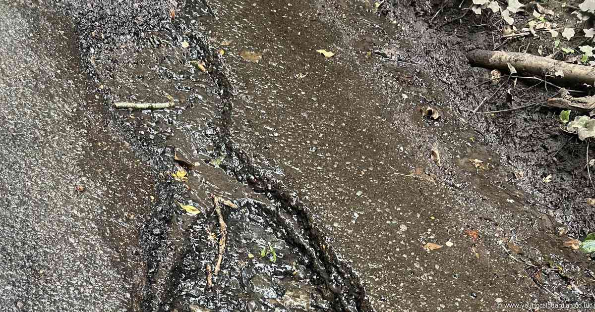 Warning as river-like potholes leaves drivers needing £600 repairs in Keston