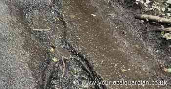 Warning as river-like potholes leaves drivers needing £600 repairs in Keston