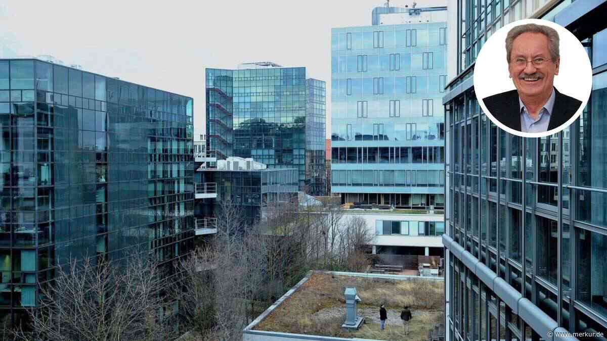 Gewächshäuser statt Wohnungen gebaut: Viele Glaspaläste sind kaum mehr betretbar
