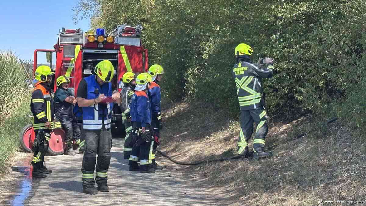 Böschung bei Edling in Flammen – Rettungskräfte bei Flächenbrand gefordert