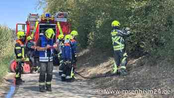 Böschung bei Edling in Flammen – Rettungskräfte bei Flächenbrand gefordert