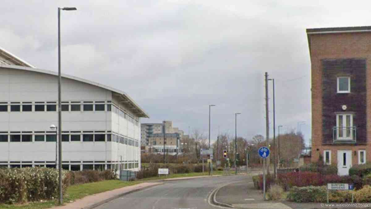 Two arrested after report of assault in Grangetown
