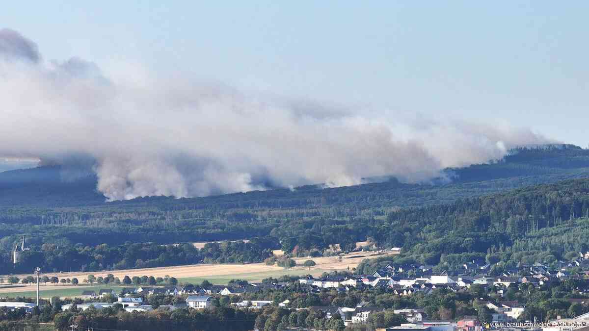 Waldbrandgefahr in Deutschland: Feuerwehrmann erklärt, wie man ein Dorf rettet