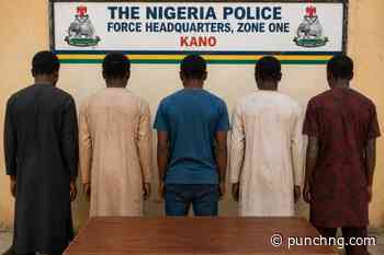 Police arrest five over fake herbal medicine, impersonation in Kano