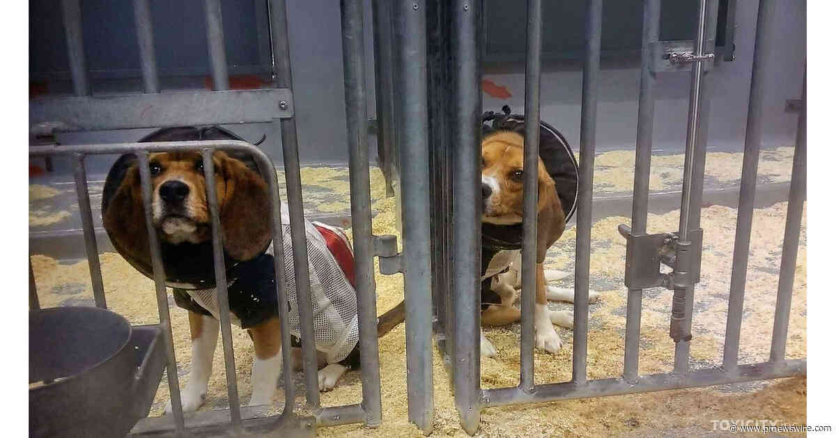 March to Abolish Animal Testing amplifies public call to end animal testing in the US
