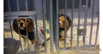 March to Abolish Animal Testing amplifies public call to end animal testing in the US