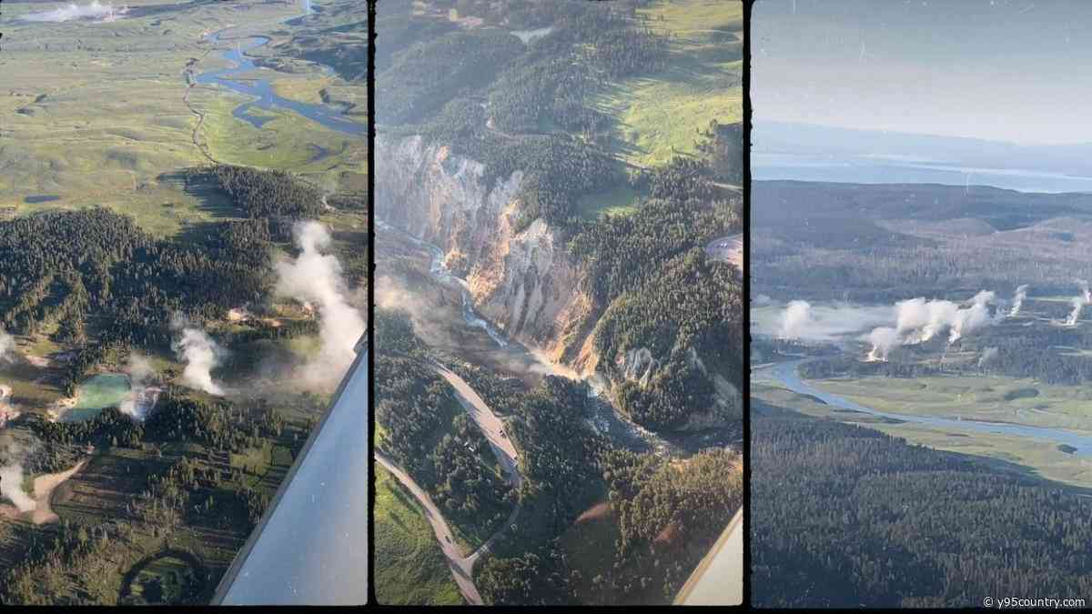 Millions Visit Yellowstone Each Year But See Less Than 10 Percent