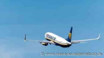 Neue Erkenntnisse zu Horrorflug: Ermittler finden Vogelreste im Triebwerk