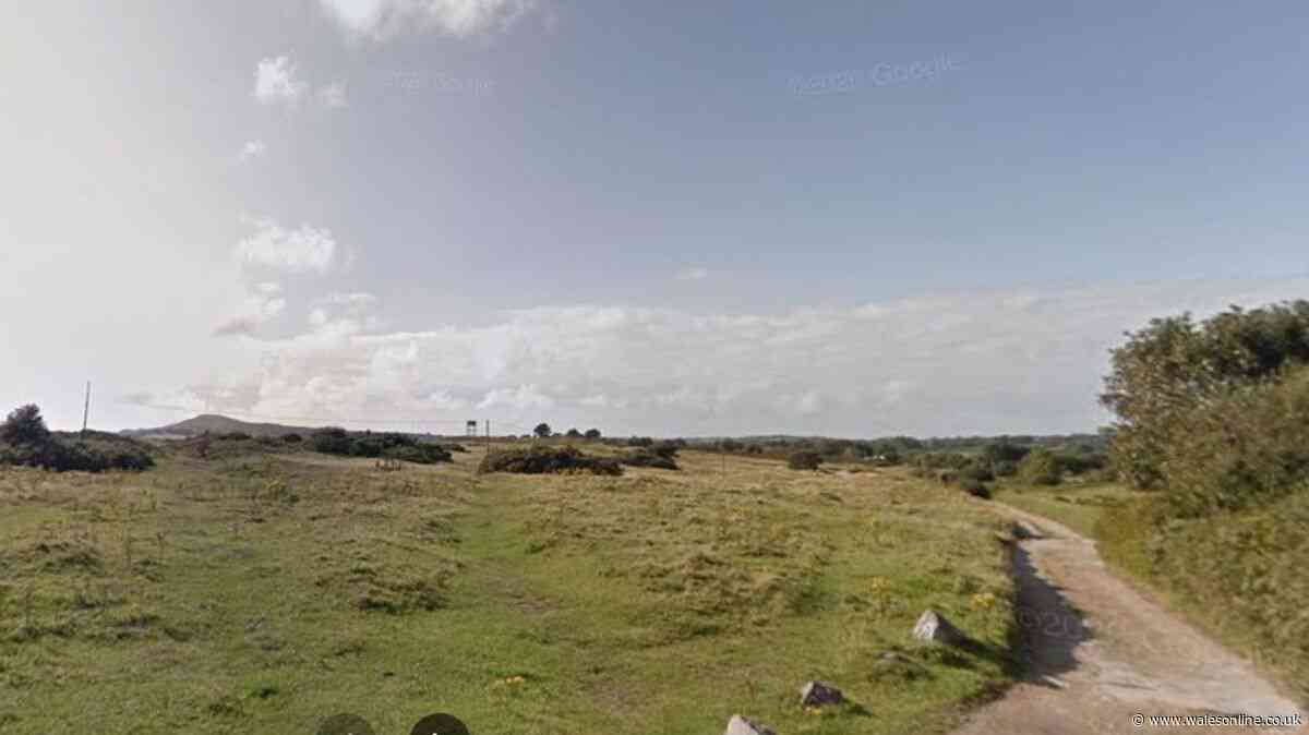 Men seen carrying and firing guns at Swansea golf club