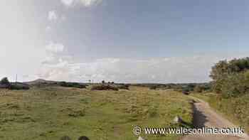 Men seen carrying and firing guns at Swansea golf club