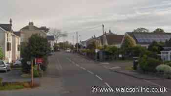 Woman dies and driver injured after crash in Swansea