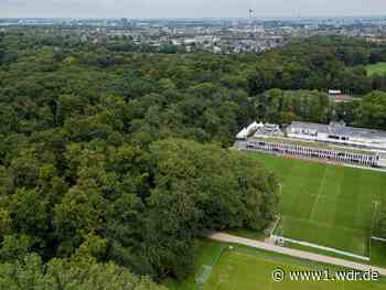 1. FC Köln darf Trainingszentrum im Grüngürtel ausbauen
