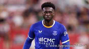 Tim Iroegbunam transfer to Hull City from Everton hits buffers amid injury concerns