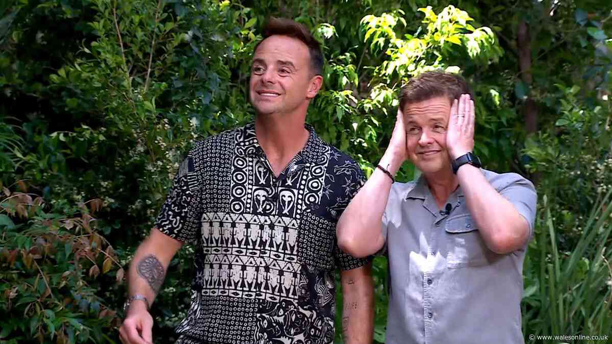 ITV bosses forced to delay I'm A Celeb return as first campmates leaked