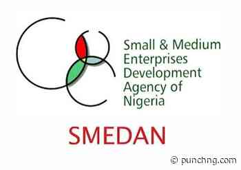 SMEDAN targets 100,000 young entrepreneurs with new programme