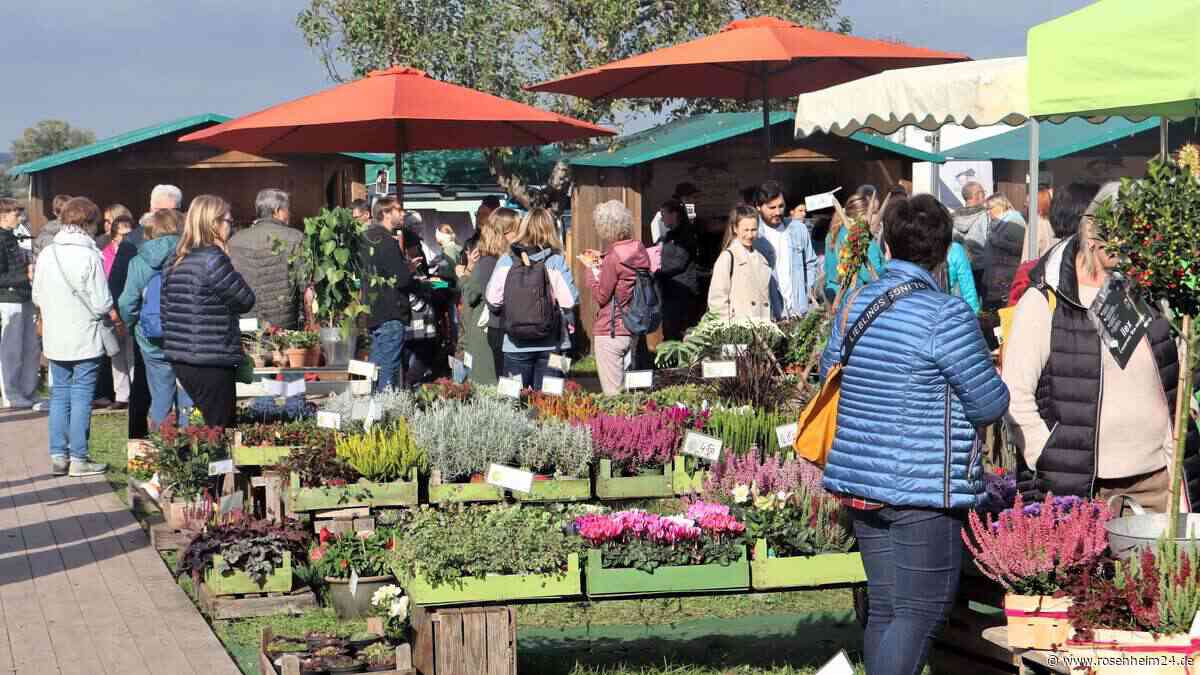 Touristiker in Bad Feilnbach fordern Verschiebung der Bauarbeiten wegen Apfelmarkt