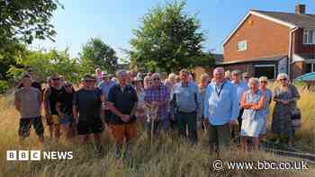 Uncut grass is a 'potentially lethal' fire risk