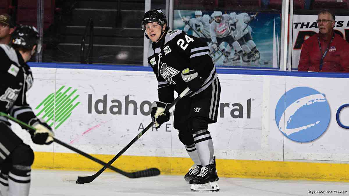 Young returns to Steelheads