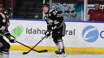 Young returns to Steelheads