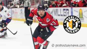 Gervais agrees to terms with Nailers