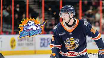 Parker-Jones joins Solar Bears