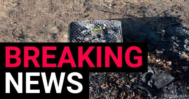 Disposable barbecues temporarily banned due to ‘significant risk to public’