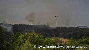 Waldbrand in der Eifel: Feuer soll mit Gegenfeuer bekämpft werden