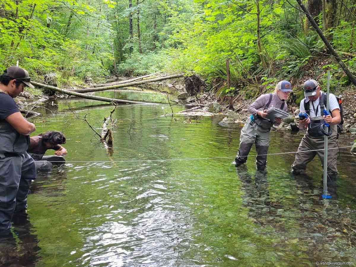 Natural habitat diversity key to protecting threatened salmon in B.C.'s Indian River watershed: report