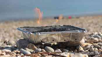 Government bans disposable barbecues  due to 'significant risk to the public' during heatwave