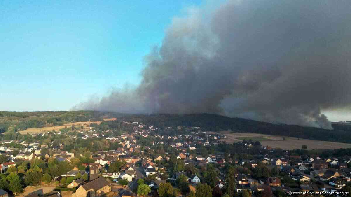 Welche Versicherung zahlt bei Schäden durch Waldbrand?