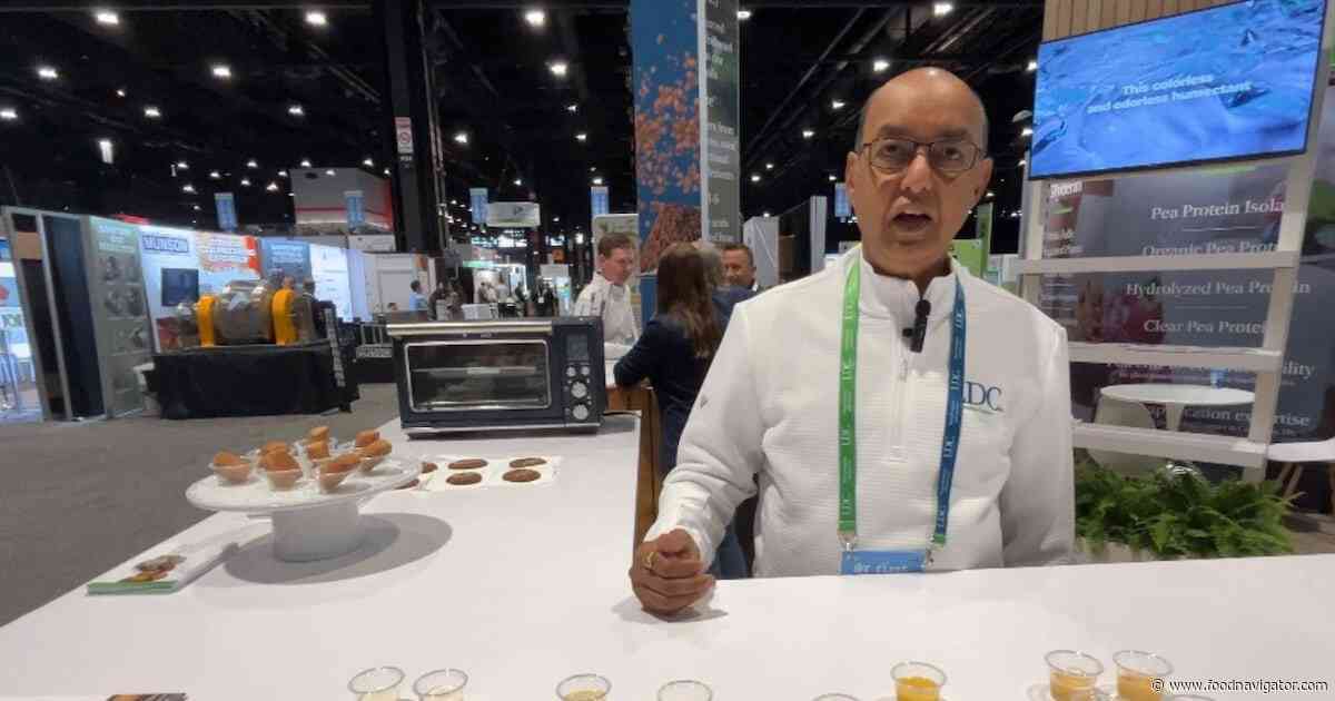 Louis Dreyfus Company targets pea protein off-notes with new isolate