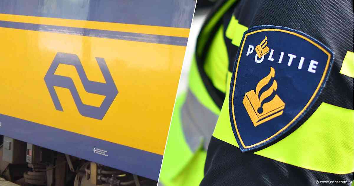 Medereizigers reanimeren vrouw als ze onwel wordt in trein, agent staat op perron klaar om het over te nemen