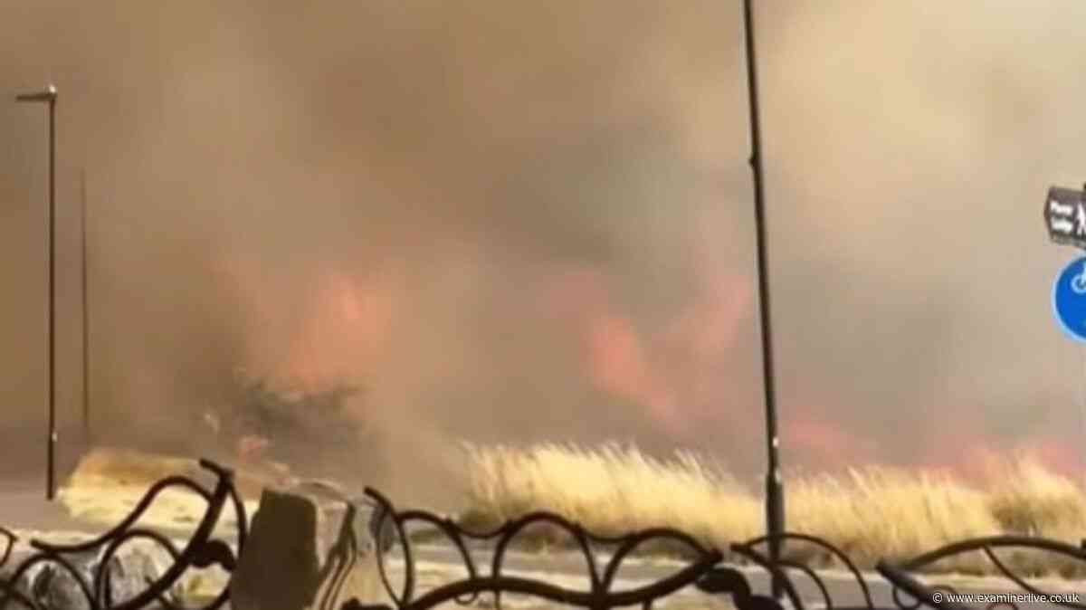 Fire service confirms causes of two Yorkshire fires that broke out an hour apart