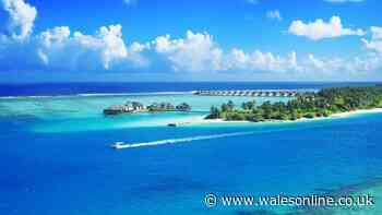 New Foreign Office update for UK visitors to dream destination after five deaths