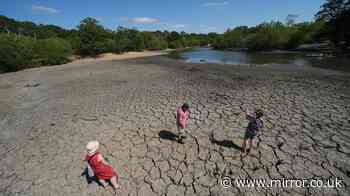 All the ways the UK will have to adapt to extreme heat - from workers' rights to transport