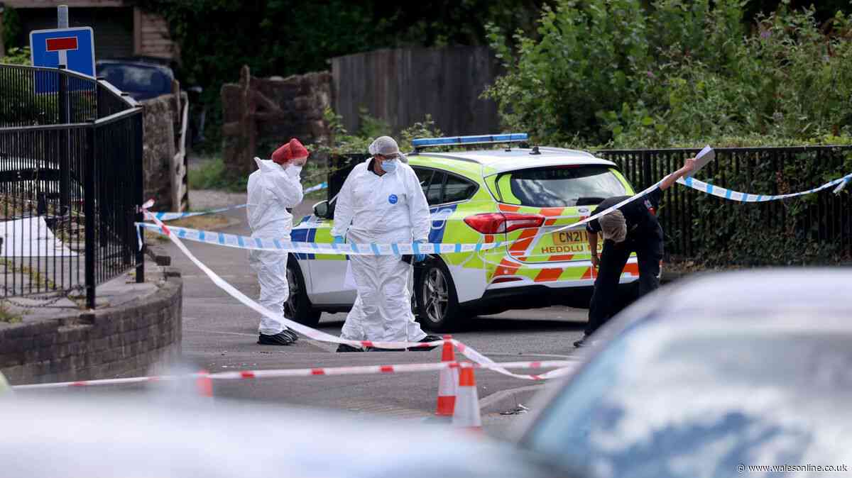 Further arrest made after alleged violence in Pontypool left one man dead