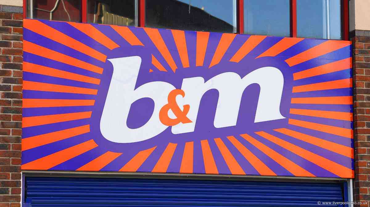 B&M's £25 ceramic vase gives homes a 'seasonal charm'