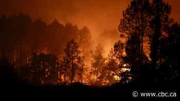 See the impact of the record heat and wildfires gripping much of Europe