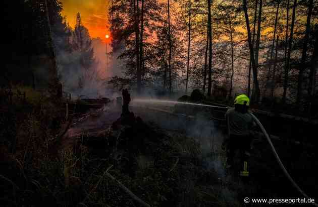 FW Kreis Soest: Waldbrand bei Möhnesee: 130 Einsatzkräfte kämpfen weiter gegen die Flammen