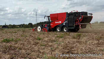 Buitenland trapt op rem aardappelprijzen af land
