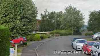 Man dies suddenly at property in Welsh town