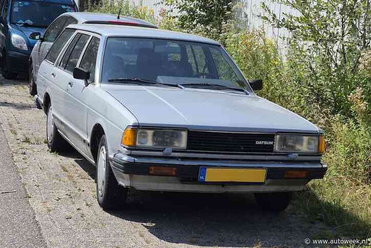 Deze Datsun Bluebird belichaamt een totaal andere tijd - In het Wild