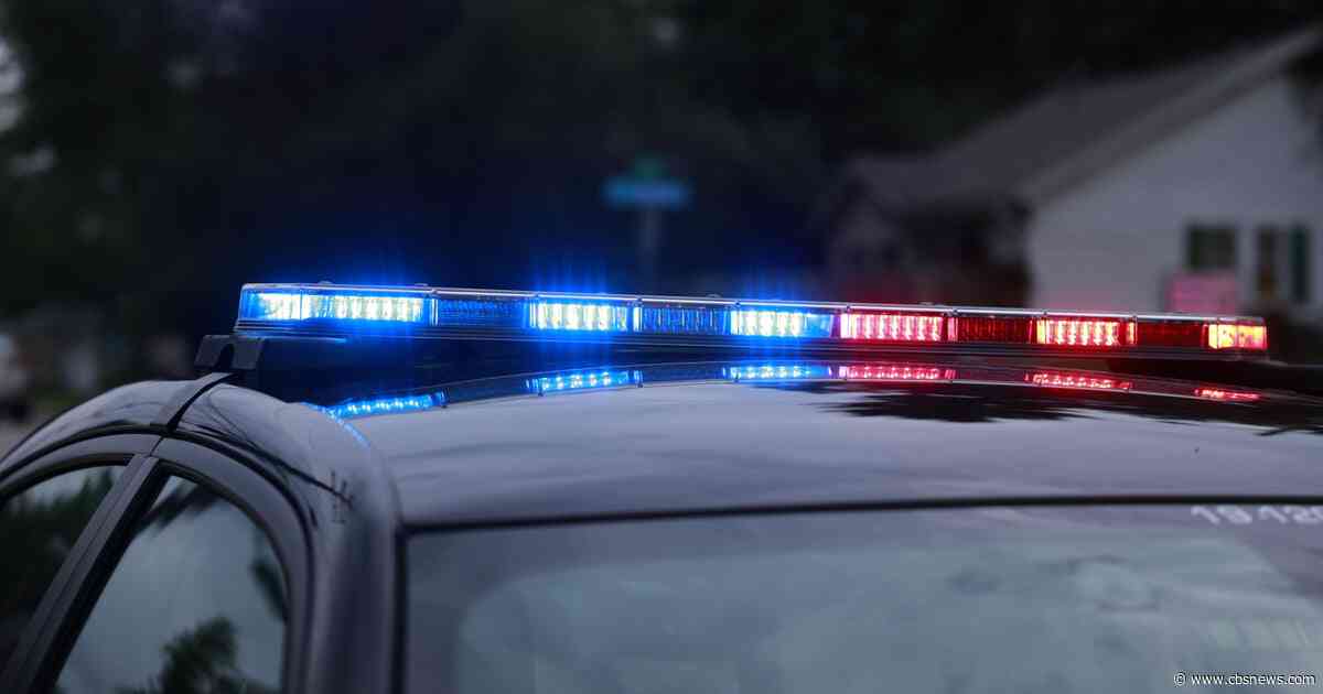 Georgia car break-in crew sentenced after admitting to targeting nearly 500 vehicles